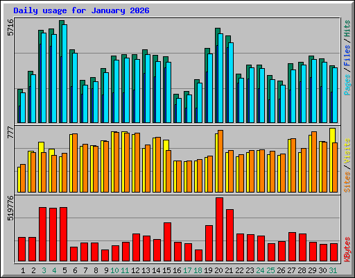Daily usage for January 2026
