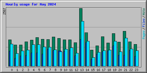 Hourly usage for May 2024