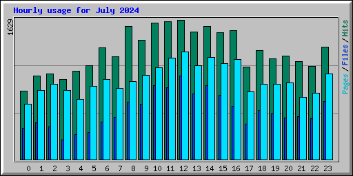 Hourly usage for July 2024