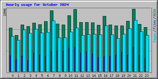 Hourly usage for October 2024