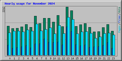 Hourly usage for November 2024
