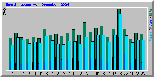 Hourly usage for December 2024