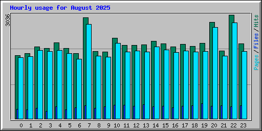 Hourly usage for August 2025