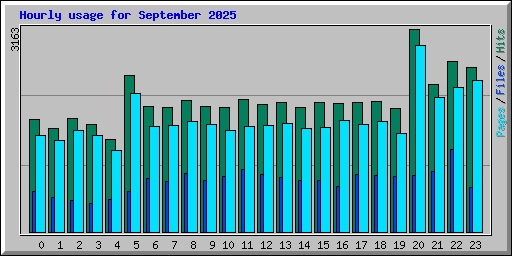 Hourly usage for September 2025