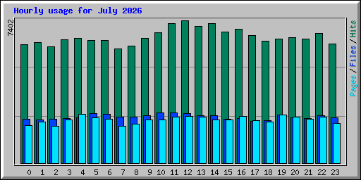 Hourly usage for July 2026